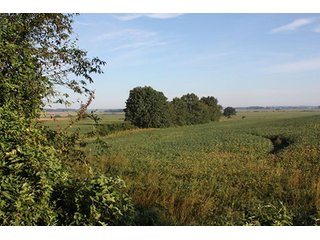 Property photo 46 - ILLINOIS LAND AUCTION - 705+/- ACRES OFFERED IN 16 TRACTS IN EDWARDS COUNTY, ILLINOIS
